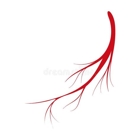 Vein of Human Vector Cartoon Icon. Vector Illustration Artery of Blood ...