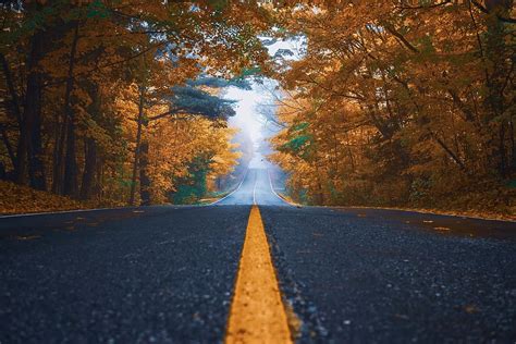 Hd Wallpaper Autumn Street Trees Nature Asphalt Landscape Road