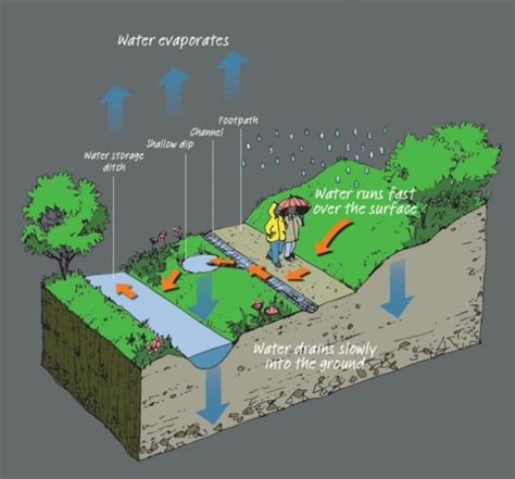 Sustainable urban drainage system | Holland park, Playground, London ...