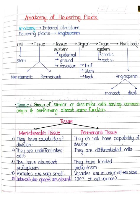 Solution Neet Anatomy Of Flowering Plants Handwritten Notes Part