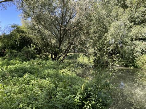 River Granta Byron S Pool Nature Mr Ignavy Geograph Britain