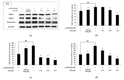 Ijms Free Full Text Inhibitory Effects Of Pinostilbene Hydrate On