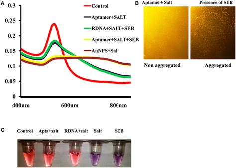 Frontiers Highly Sensitive Colorimetric Biosensor For Staphylococcal