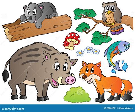 Forest Cartoon Animals Set 1 Stock Image - Image: 20001871