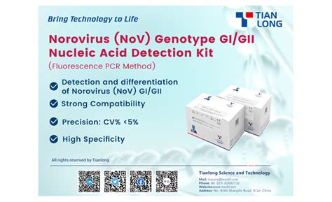 Hot Sale Norovirus Nov Genotype Gigii Pcr Detection Kit