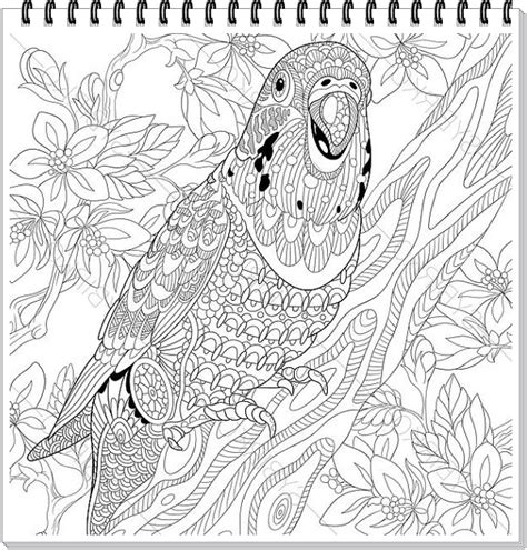 Papagei Mandala Ausmalbilder Zum Ausdrucken Parrot Mandala Coloring