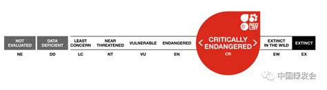 Iucn红色名录发布更新，32000个物种濒临灭绝之危澎湃号·政务澎湃新闻 The Paper