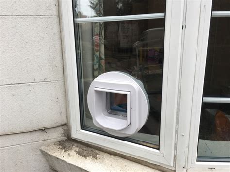 Cat Flaps Fitted In Glass In South West London