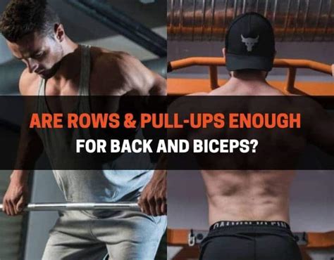 Are Rows & Pull-Ups Enough For Back And Biceps? | PowerliftingTechnique.com