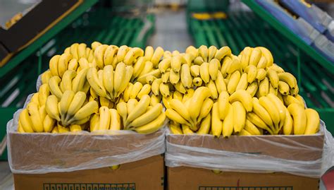 Bananeros de Latinoamérica piden precios justos a mercados de Europa y