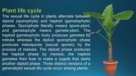 Biological Classification Ppt Free Download