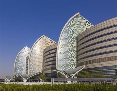 Sidra Medical and Research Center / Pelli Clarke & Partners | ArchDaily