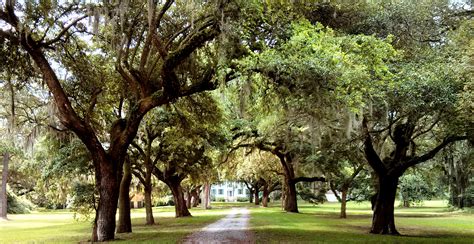 McLeod Plantation - Glimpses of Charleston