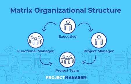 Matrix Organizational Structure A Quick Guide