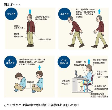 ★腰痛予防のための体操・姿勢★｜お役立ち情報｜お知らせ ｜ 江古田の森｜東京総合保健福祉センター 中野区