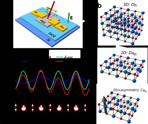 Circular Photo Galvanic Effect In Lead Sulfide Nanosheet Devices A