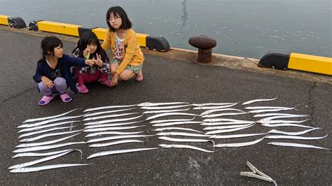 爆釣夏タチウオ 風来坊はどこへいく・・・六姉妹のアウトドア