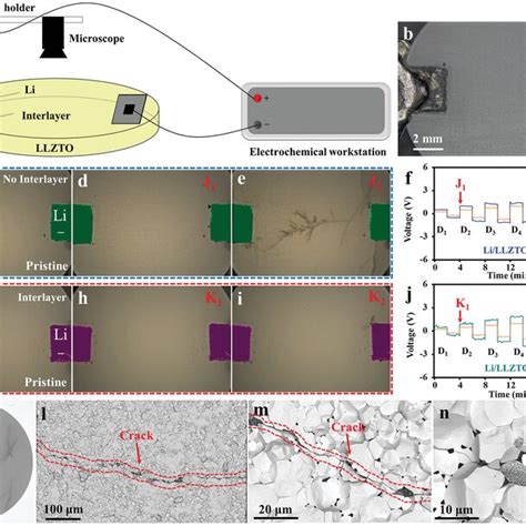 In Situ Optical Experiments Of Li Dendrite Growth In Llzto A