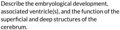 SOLVED Describe The Embryological Development Associated Ventricle S