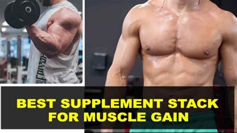 Best Muscle Building Stack 2024 Top Supplement Stacks For Muscle Gain And Bodybuilding