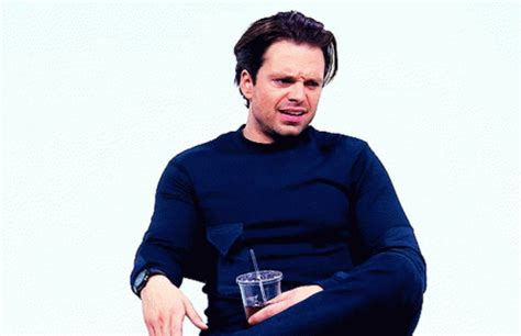 Sebastian Stan GIF - Sebastian Stan - Discover & Share GIFs