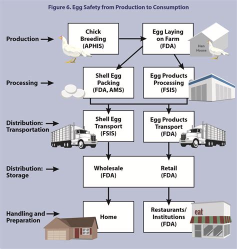 Us Poultry Industry Manual Egg Safety Rules The Poultry Site