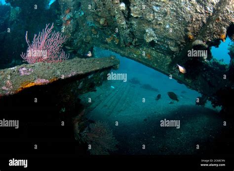 Interior Of Wreck Liberty Wreck Dive Site Tulamben Bali Indonesia