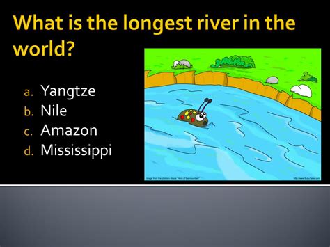 A Yangtze B Nile C Amazon D Mississippi River Nile Amazon Yangtze