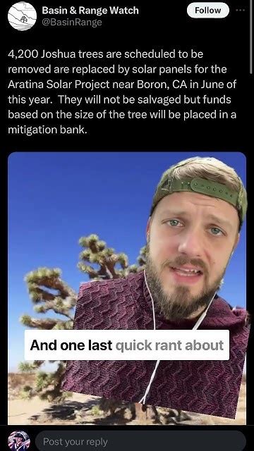 Killing Trees For Climate Change Woo Hoo Youtube