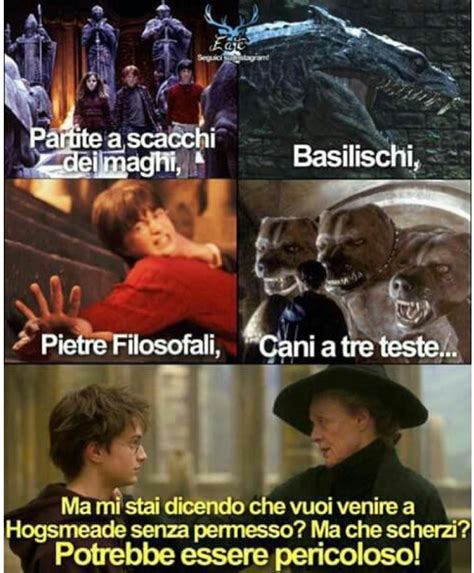 Curiosit Su Harry Potter E Molto Altro Artofit