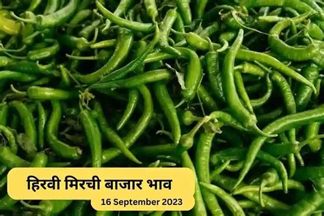 हरव मरच बजर भव आज 16 सपटबर 2023 Information Marathi