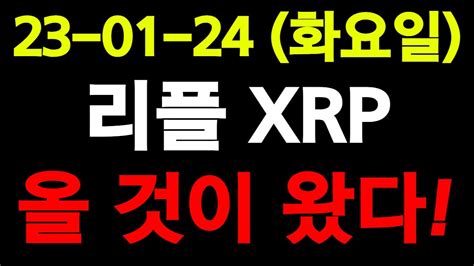 리플 Xrp 드디어 올 것이 왔습니다 빨리영상확인하세요 리플 리플전망 리플코인 리플코인소송결과 리플코인시세 Youtube