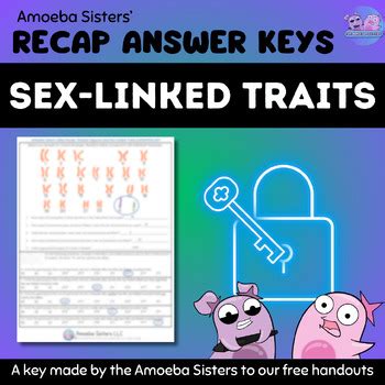 Sex Linked Traits Recap Answer Key By The Amoeba Sisters Answer Key