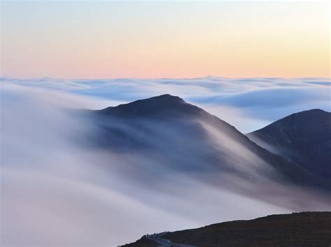 A Complete Guide to Fog Photography: 11 Tips & Ideas - Onedesblog