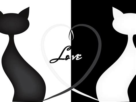 🔥 [30+] Cat Silhouette Wallpapers | WallpaperSafari