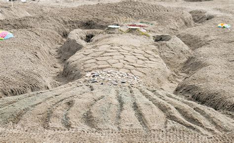 Sand Sculpture Contest Pope County Tribune