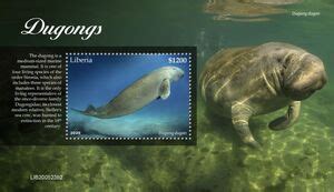 Stamp Dugongs Dugon Liberia Dugongs Sn Lr Yt Lr Bf