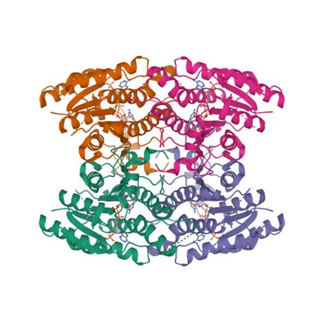 RCSB PDB 4CLX Crystal Structure Of Pteridine Reductase 1 PTR1 From