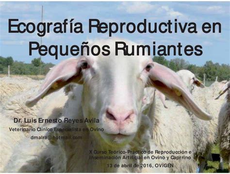 PDF Ecografía Reproductiva en Pequeños Rumiantes 2020 7 8