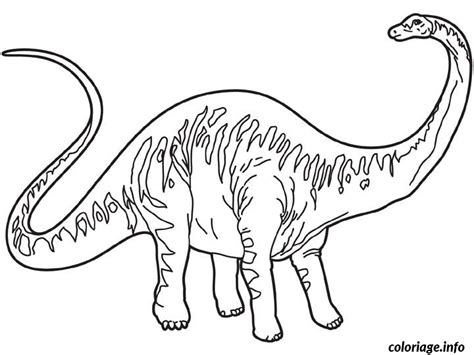 Coloriage Dessin Dinosaure Diplodocus Jecolorie