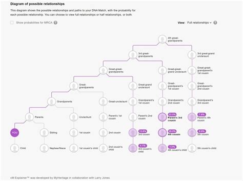 Myheritage Cm Explainer Estimate Dna Relationships Your Dna Guide