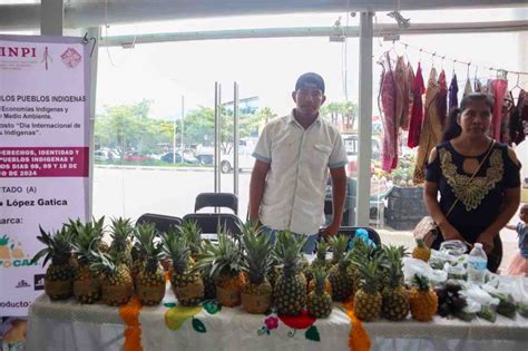 Enfrentan los productores de piña falta de agua y de transporte para