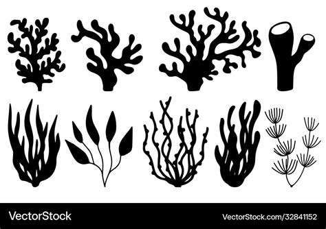 Set Corals And Seaweeds Silhouettes Royalty Free Vector