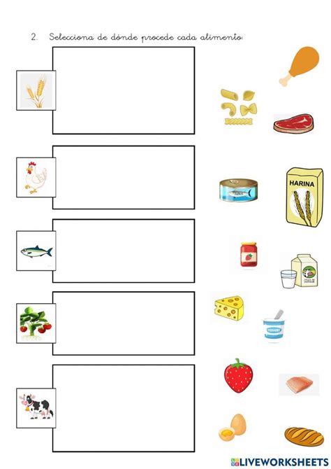 Ficha Online Gratuita De Origen De Los Alimentos Map Diy Manualidades