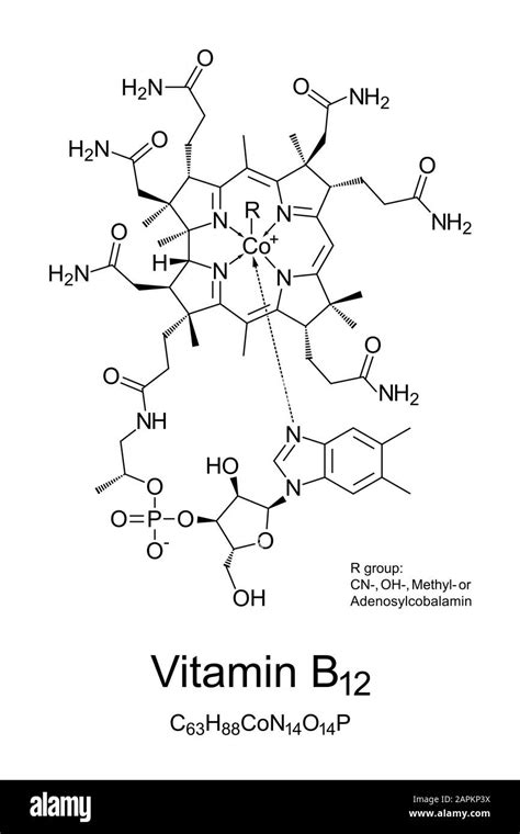 Vitamin B12 Cobalamin Chemical Structure Involved In Metabolism Of Every Cell Of The Human