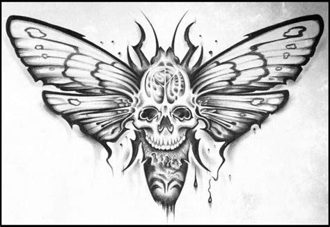 Skull moth Motten tattoo Tattoo künstler Kunst skizzen