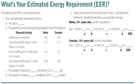 Energy Balance Flashcards Quizlet