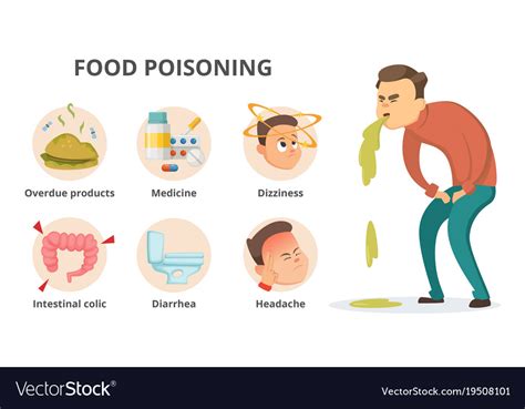 Different Symptoms Of Food Poisoning Infographic Vector Image