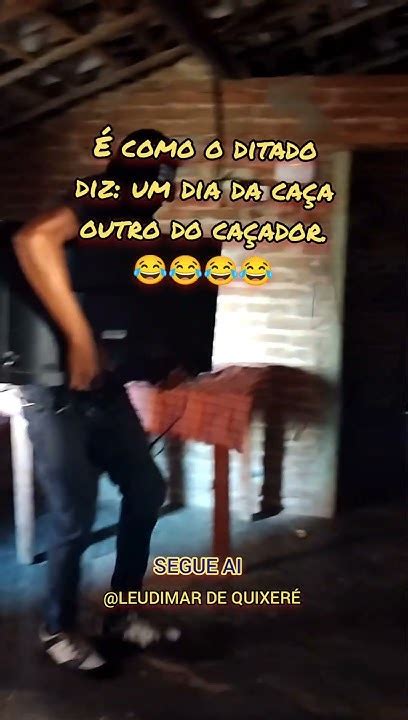 Ditado Um Dia Da Caça Outro Do Caçador - É como o ditado diz: um dia da caça outro do caçador.😂 - YouTube