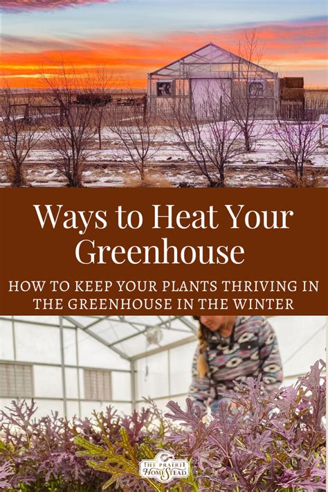 Ways To Heat Your Greenhouse In The Winter Artofit